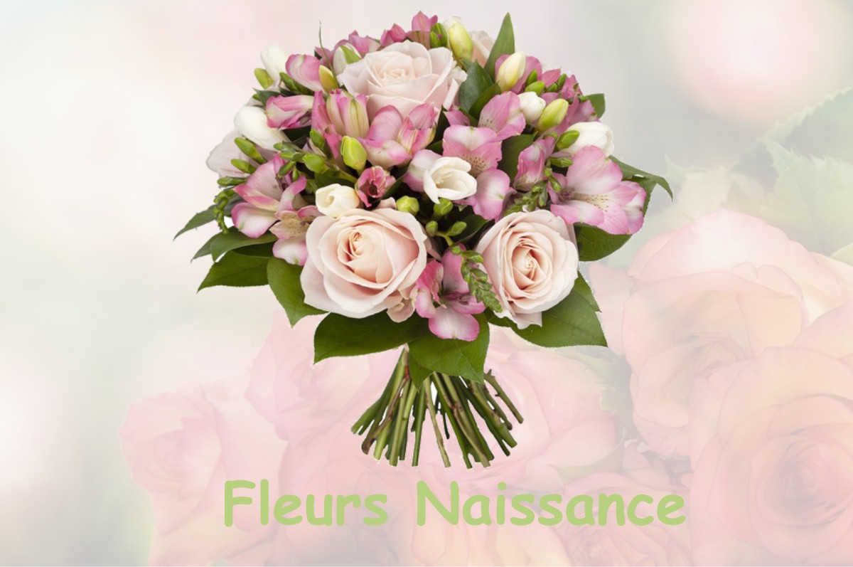 fleurs naissance ANHIERS